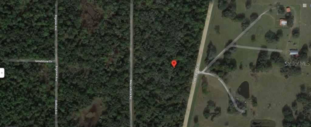 This is an aerial map view showing a wooded lot marked with a red pin — TREIMAN BOULEVARD, WEBSTER, FL