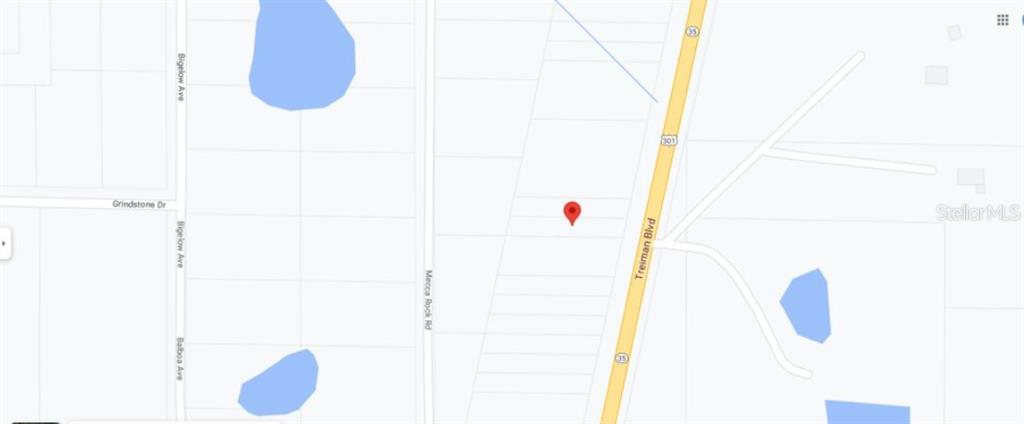 This is a map showing a property location marked by a red pin near Treiman Boulevard — TREIMAN BOULEVARD, WEBSTER, FL