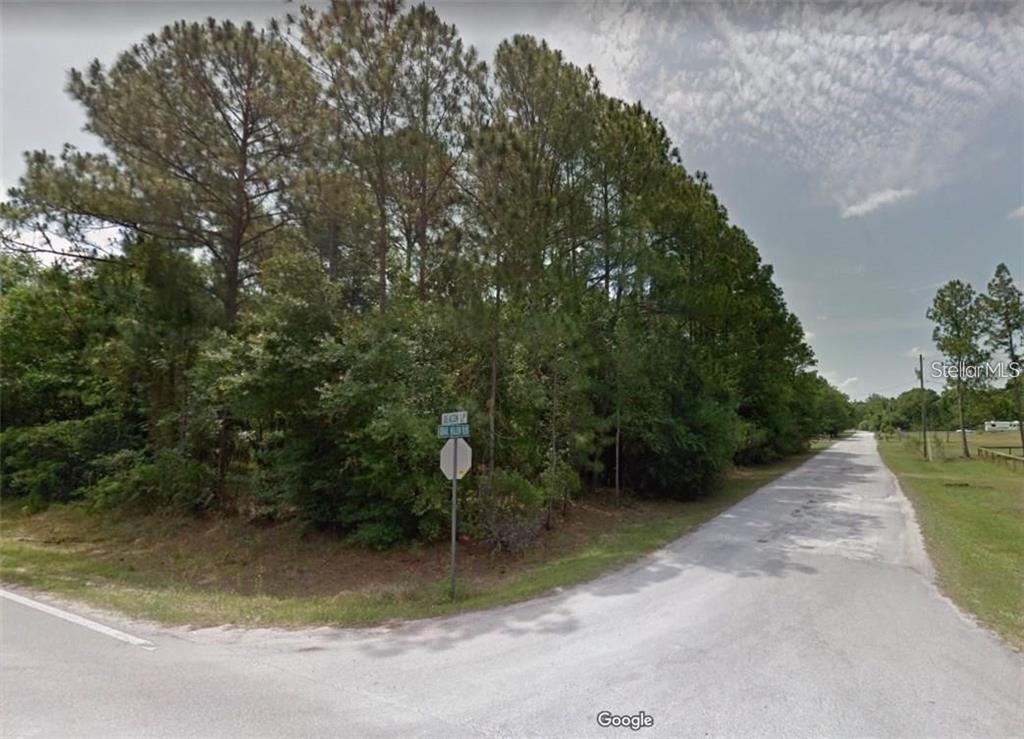 A street corner features a stop sign and a wooded lot with tall pine trees — QUAIL HOLLOW BOULEVARD, WESLEY CHAPEL,, FL