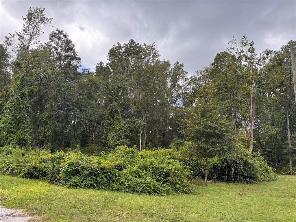 SE 4TH AVE, MELROSE, FL — photo 2 of 7