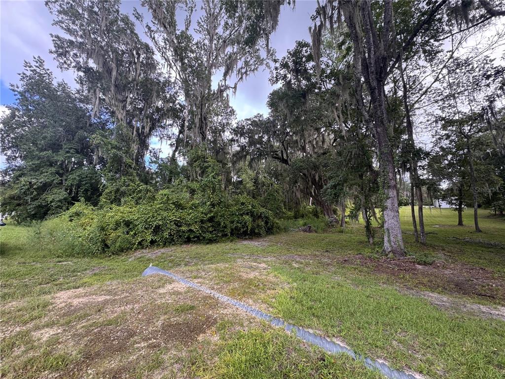 SE 4TH AVE, MELROSE, FL — photo 3 of 7