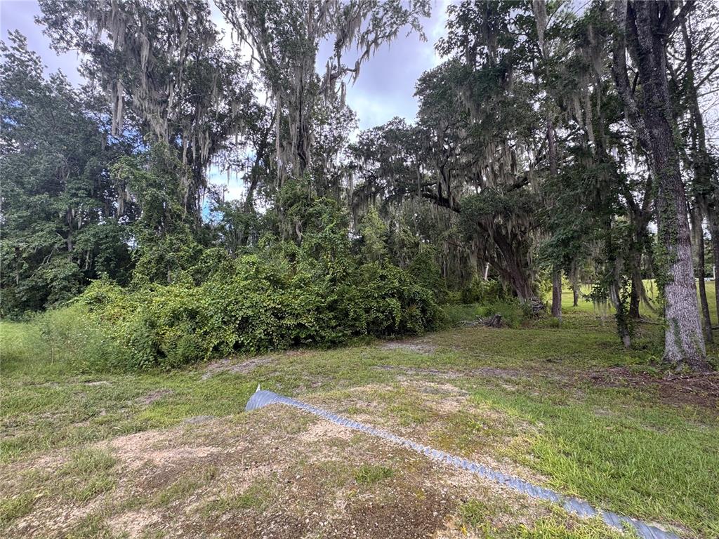 SE 4TH AVE, MELROSE, FL — photo 4 of 7