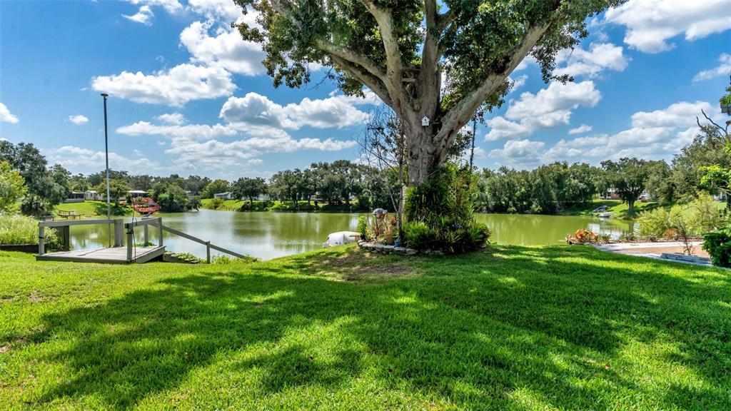 A large tree stands on a grassy lawn overlooking a lake with a wooden dock — 2055 S FLORAL AVENUE UNIT 165, BARTOW, FL