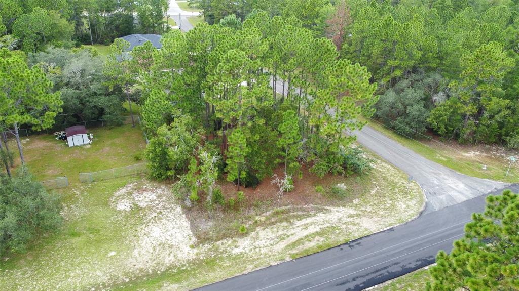 7662 N GALT POINT, CITRUS SPRINGS, FL — photo 2 of 16