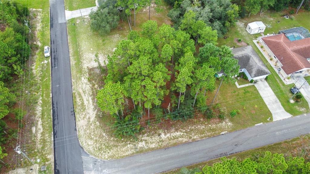 7662 N GALT POINT, CITRUS SPRINGS, FL — photo 3 of 16