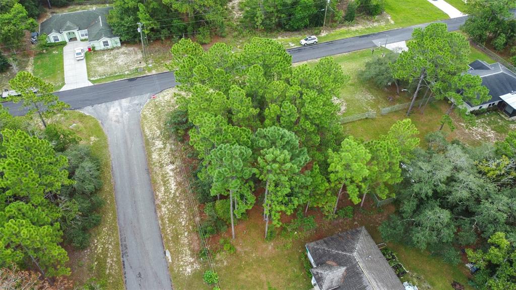 7662 N GALT POINT, CITRUS SPRINGS, FL — photo 4 of 16