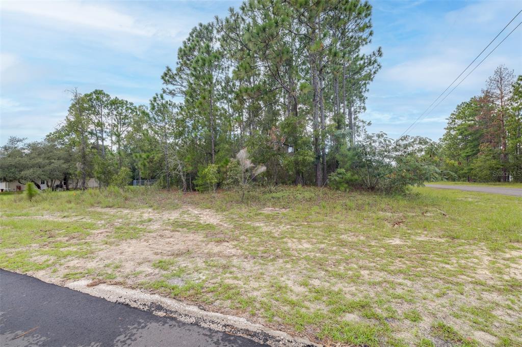 7662 N GALT POINT, CITRUS SPRINGS, FL — photo 5 of 16