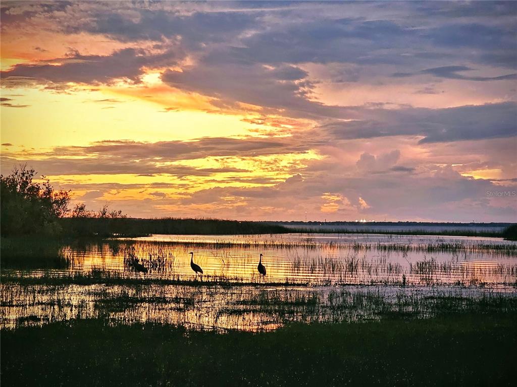 A sunset view over a marshy lake with two birds standing in the shallow water — 4810 CALASANS AVENUE, ST CLOUD, FL