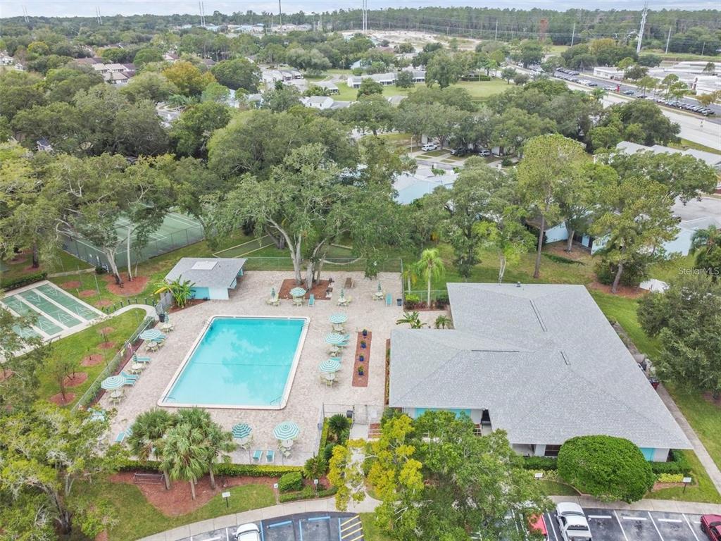 3335 FOX HUNT DRIVE, PALM HARBOR, FL — photo 2 of 32