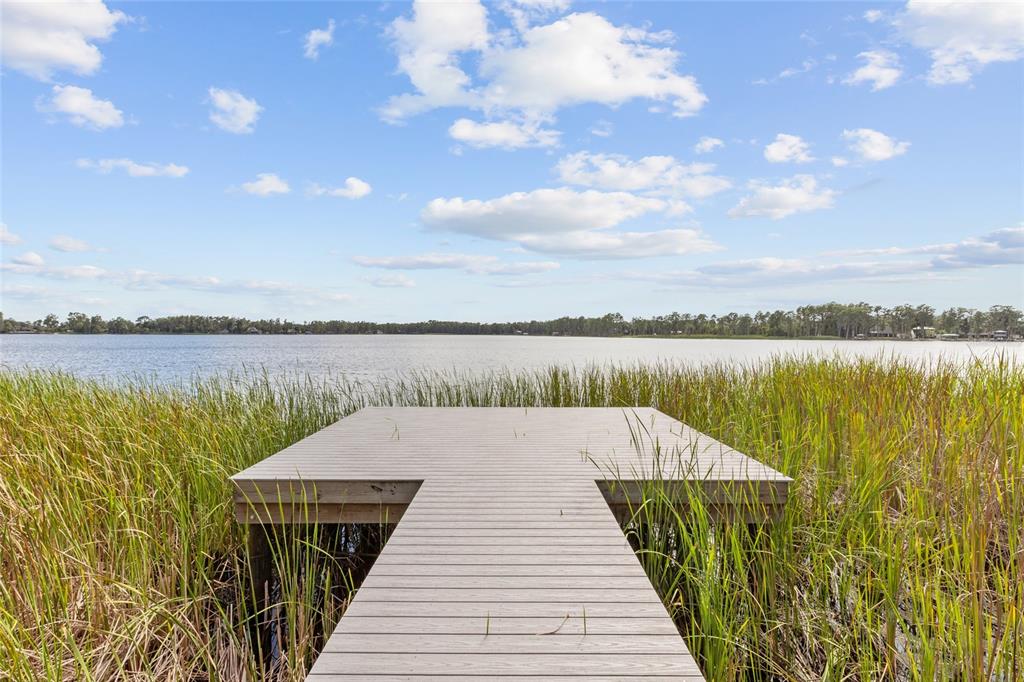 A wooden dock extends into a lake surrounded by tall green grasses under a blue sky — 6140 SHINER STREET, LAND O LAKES, FL