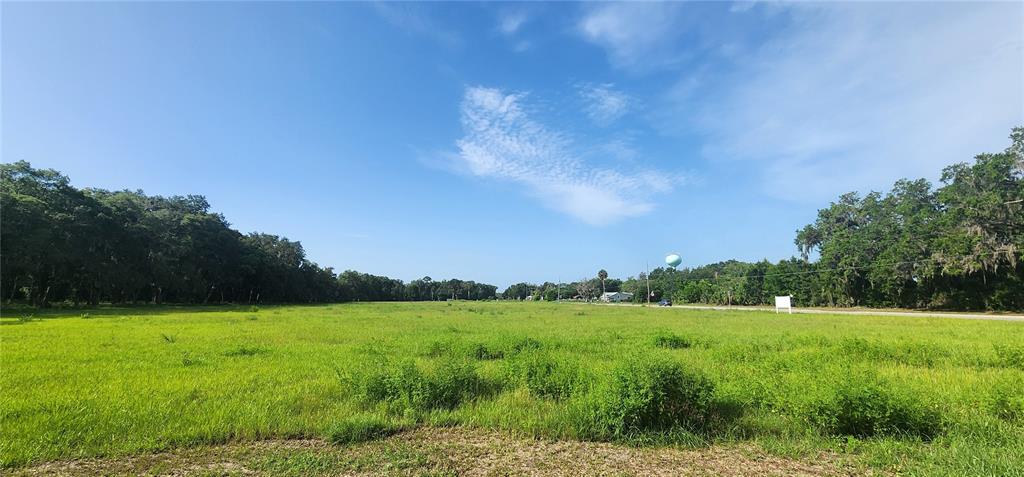 A large, flat, grassy vacant lot is bordered by trees under a blue sky — 103 E 2ND AVENUE E, PIERSON, FL