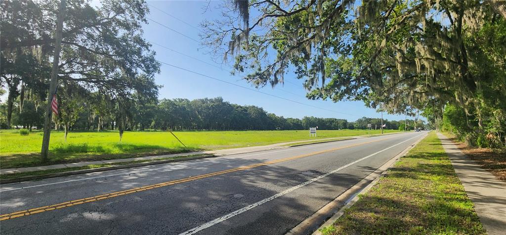 A paved road runs alongside a large, grassy vacant lot shaded by mature oak trees — 103 E 2ND AVENUE E, PIERSON, FL