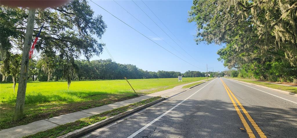 A paved road runs alongside a large, grassy vacant lot lined with mature oak trees — 103 E 2ND AVENUE E, PIERSON, FL