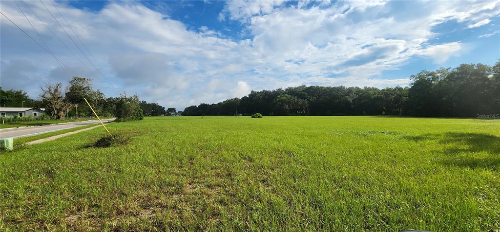 A large, grassy, undeveloped lot sits adjacent to a paved road under a cloudy sky — 103 E 2ND AVENUE E, PIERSON, FL