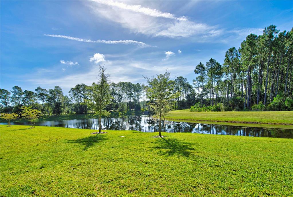 A grassy lawn leads to a pond surrounded by trees under a blue sky — 30 LONGRIDGE LANE, ORMOND BEACH, FL