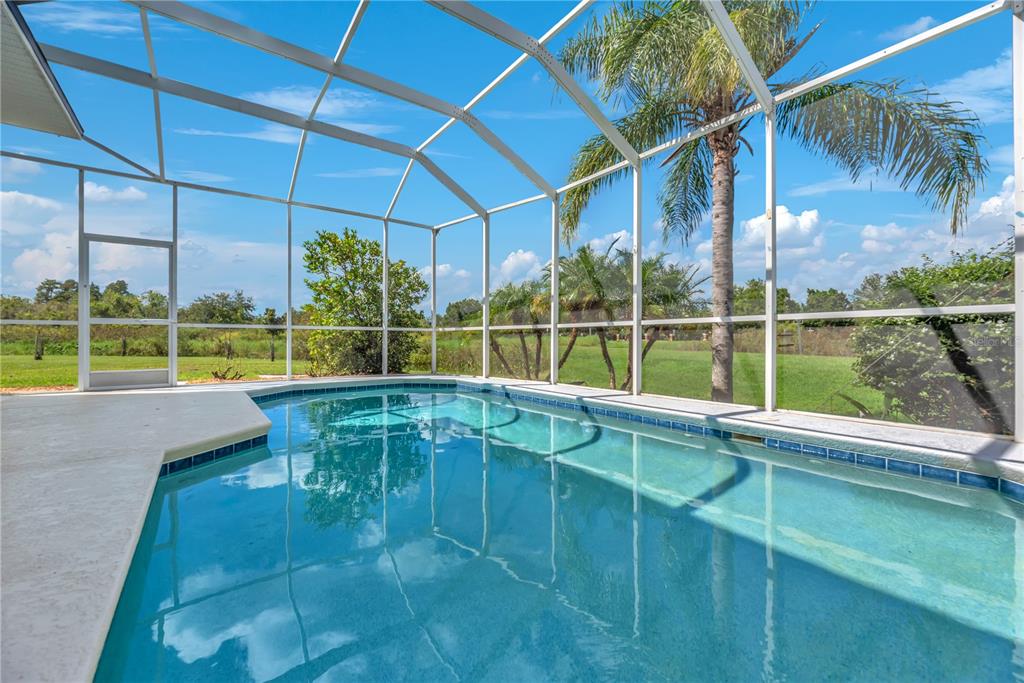 18801 SUNTERRA DRIVE, LAND O LAKES, FL — photo 2 of 44