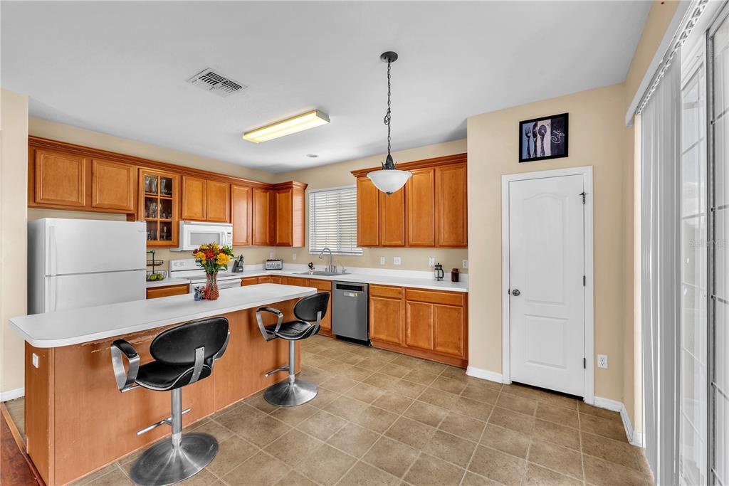 18801 SUNTERRA DRIVE, LAND O LAKES, FL — photo 4 of 44