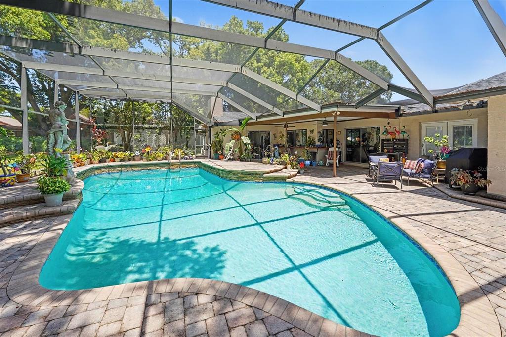 A screened-in swimming pool sits behind a stone walkway and lush landscaping in a backyard — 3061 ALT 19, PALM HARBOR, FL