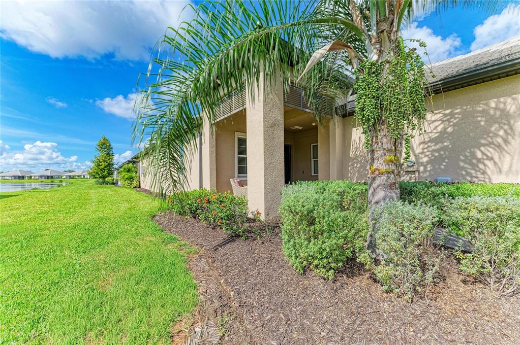 A palm tree stands in front of a house with a covered patio and lawn — 17831 CHERISHED LOOP, LAKEWOOD RANCH, FL