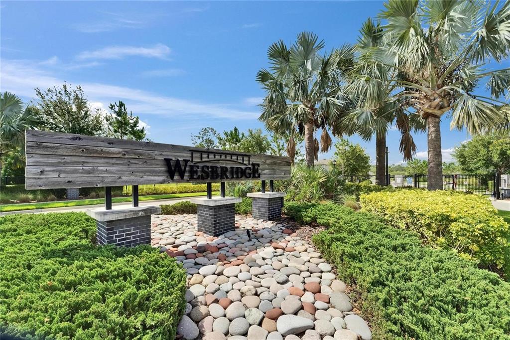 6658 DEVLIN LANE, WESLEY CHAPEL, FL — photo 3 of 30