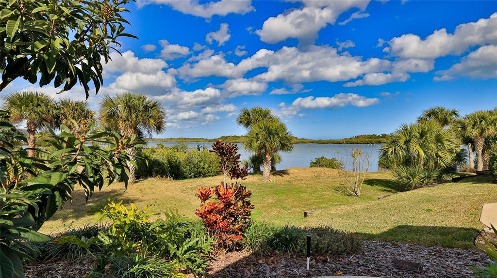 A grassy yard with palm trees and tropical plants overlooks a calm body of water — 361 MARSH LANDING LOOP, OAK HILL, FL