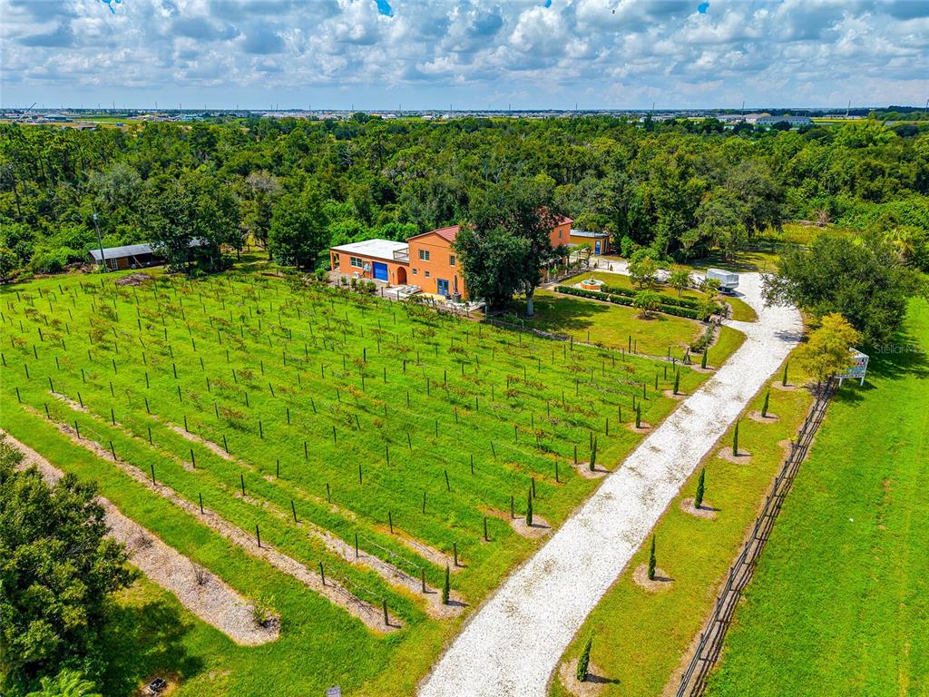 A gravel driveway leads through an open gate toward a peach-colored house with a vineyard — 19600 E STATE ROAD 64, BRADENTON, FL
