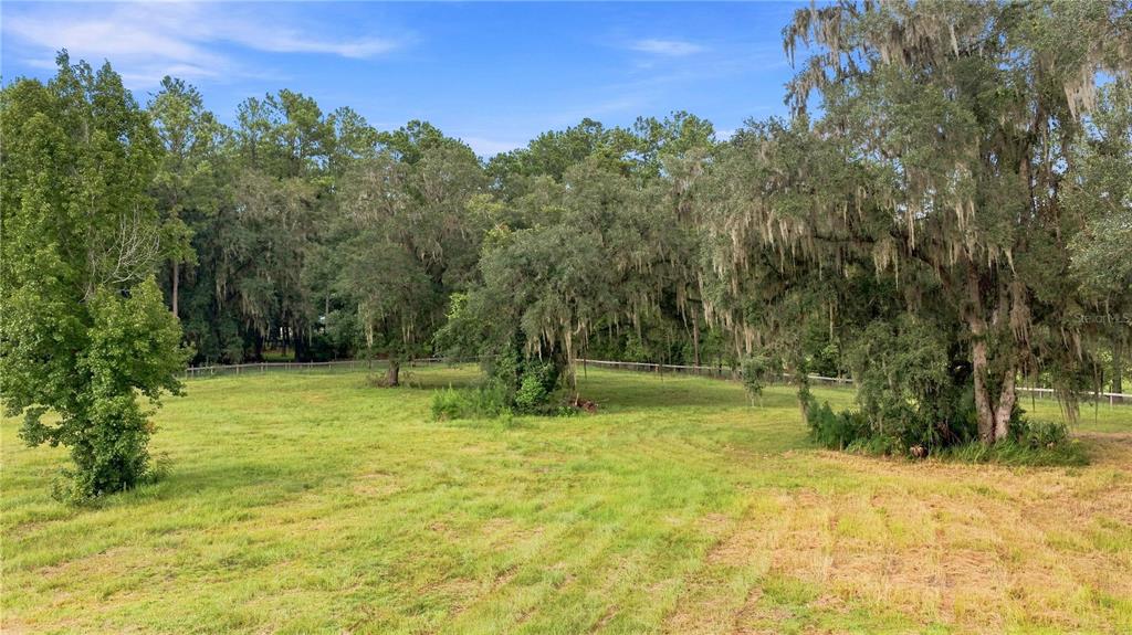 A grassy field with scattered trees and Spanish moss is enclosed by a wire fence — 18601 NW 160TH AVENUE, WILLISTON, FL