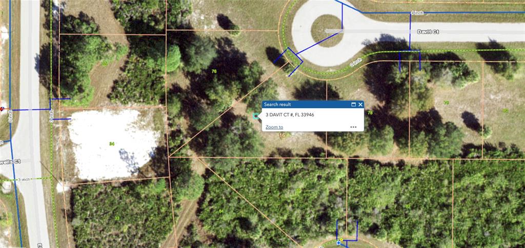 This is a satellite map view showing a vacant residential lot with property boundary lines — 3 DAVIT COURT, PLACIDA, FL