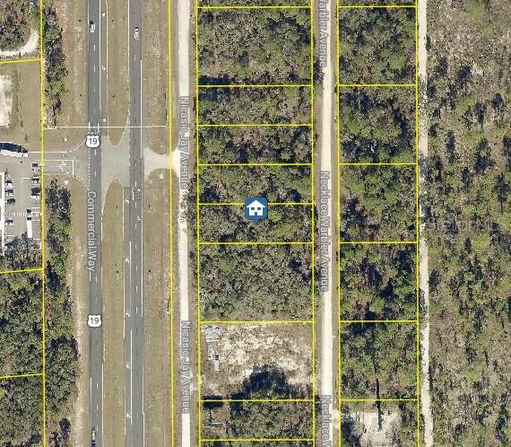 LOT 16 NECKLACE WARBLER AVENUE