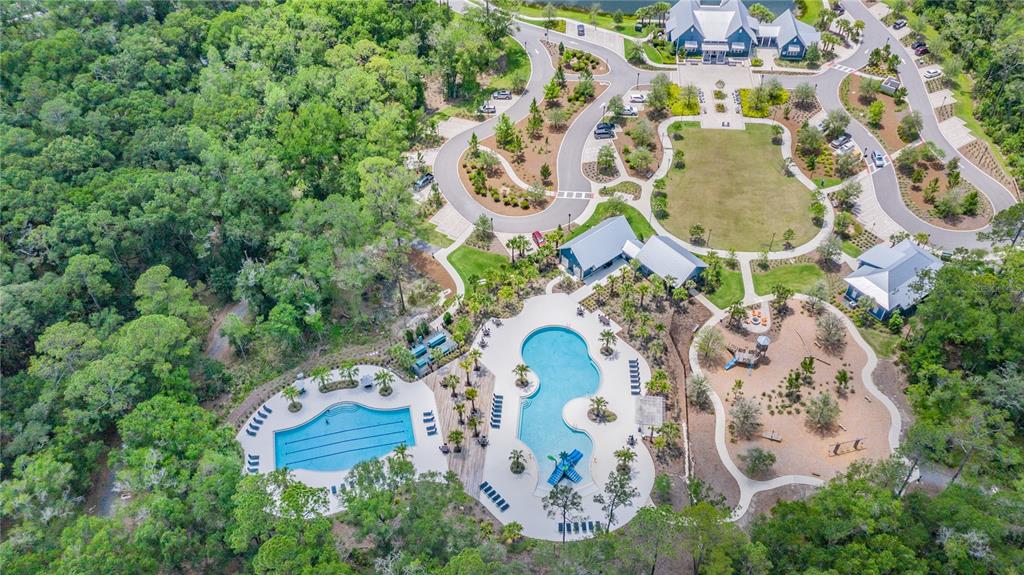 An aerial view shows a community pool area, playground, and clubhouse surrounded by dense woods — 4447 TUBULAR RUN, LAND O LAKES, FL