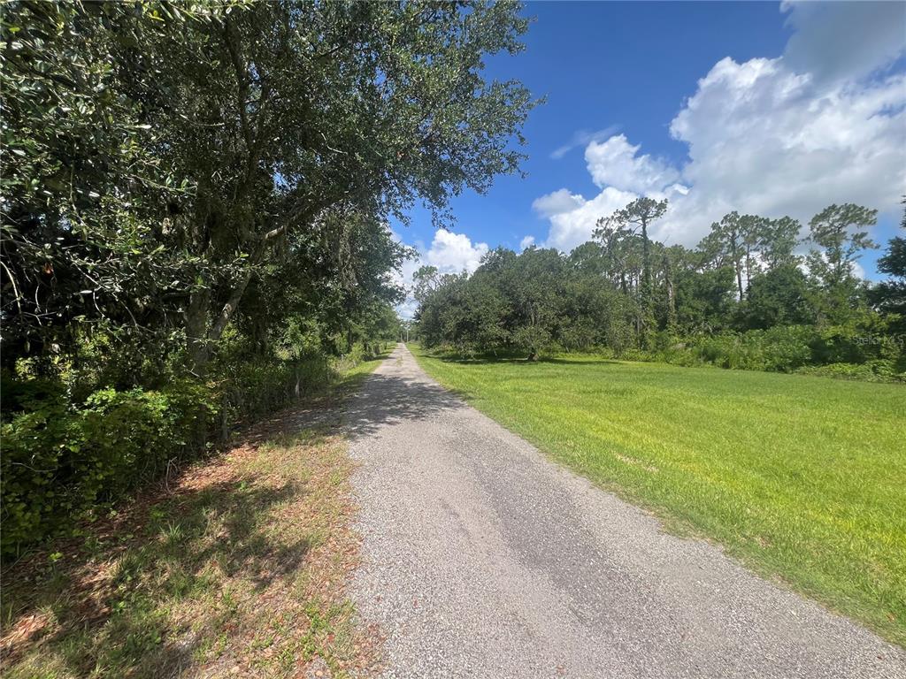 A gravel road runs through a grassy field bordered by trees under a blue sky — 8755 WAUCHULA ROAD, MYAKKA CITY, FL