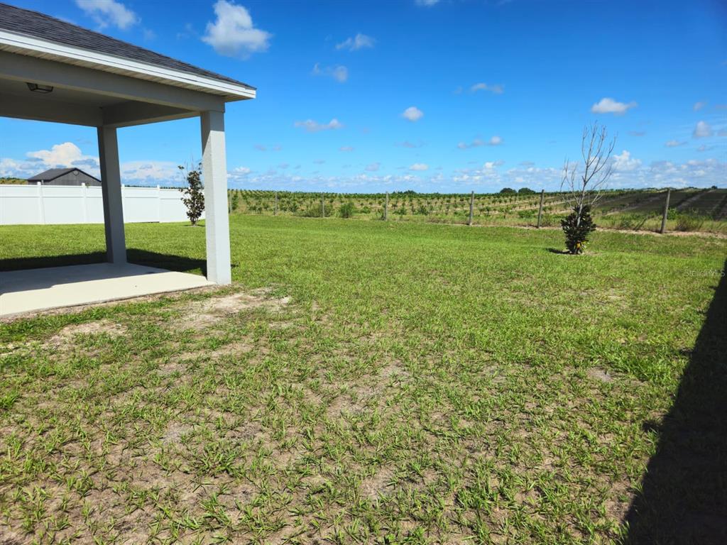 2058 FICUS STREET, MASCOTTE, FL — photo 4 of 18