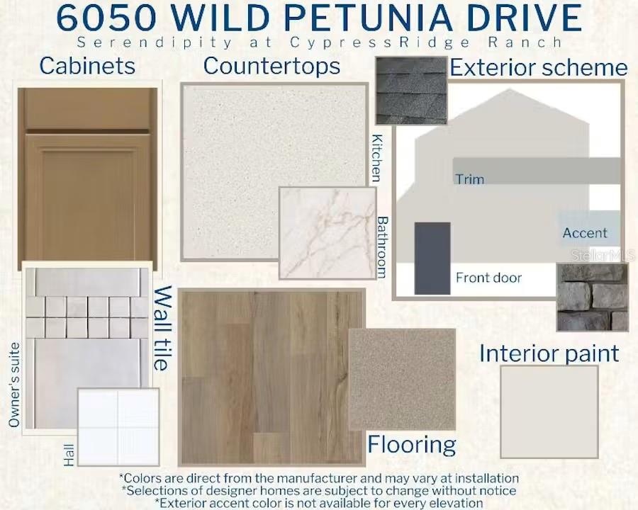 6050 WILD PETUNIA DRIVE, WIMAUMA, FL — photo 3 of 4