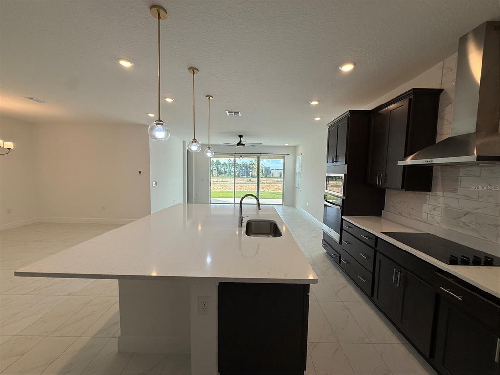 1663 PYRAMID HILL STREET, MINNEOLA, FL — photo 4 of 30