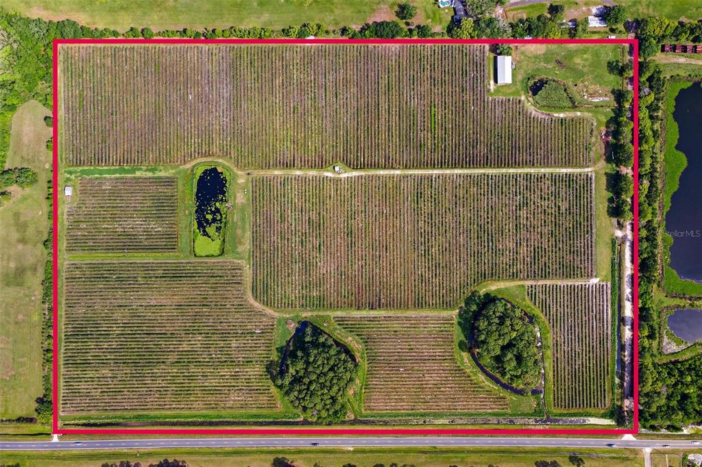An aerial view shows a large rectangular agricultural property with rows of crops and ponds — 7453 JONES AVENUE, MOUNT DORA, FL