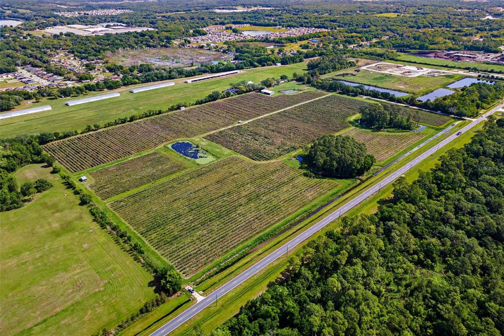 An aerial view shows a large agricultural field with rows of crops and ponds — 7453 JONES AVENUE, MOUNT DORA, FL
