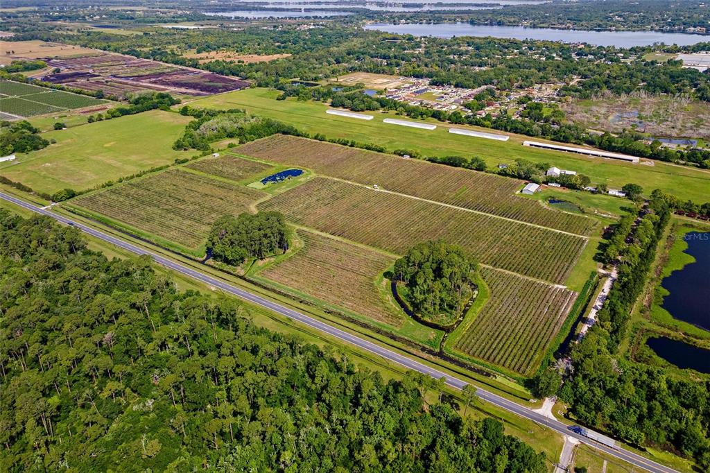 An aerial view shows a large agricultural field with rows of crops and wooded areas — 7453 JONES AVENUE, MOUNT DORA, FL