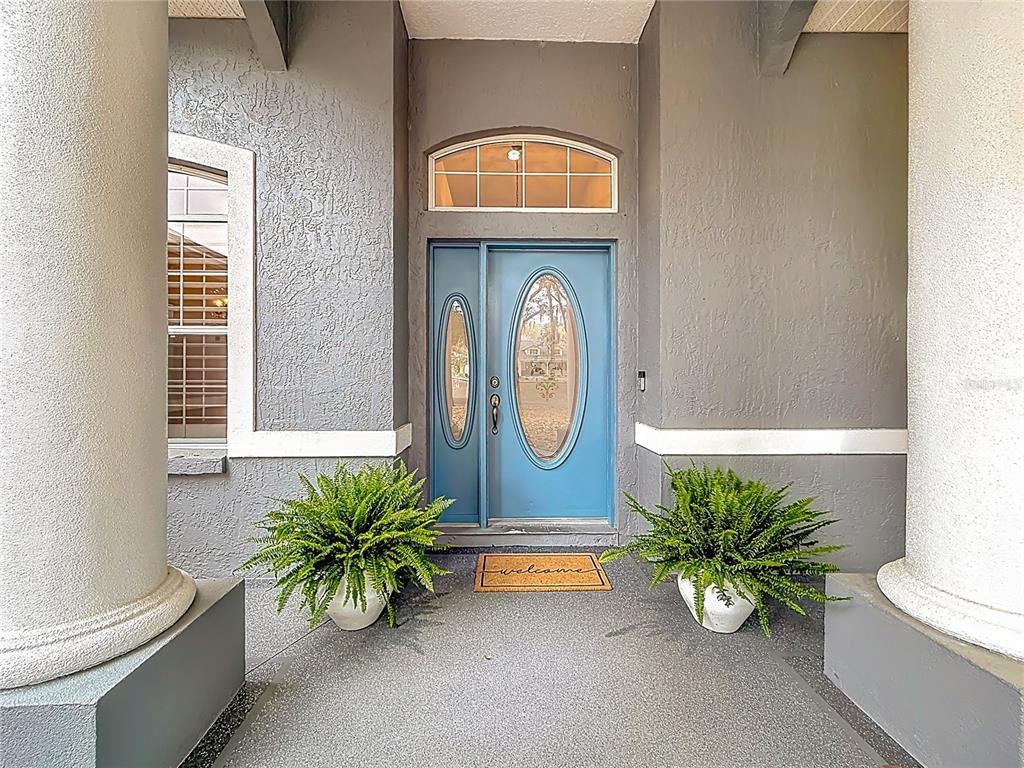 A blue front door with oval glass inserts sits between two large potted ferns — 507 DOWLING CIRCLE, LADY LAKE, FL