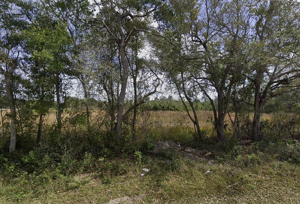 A view of a grassy, undeveloped lot framed by several mature trees — 0 DELAWARE AVENUE, ST CLOUD, FL