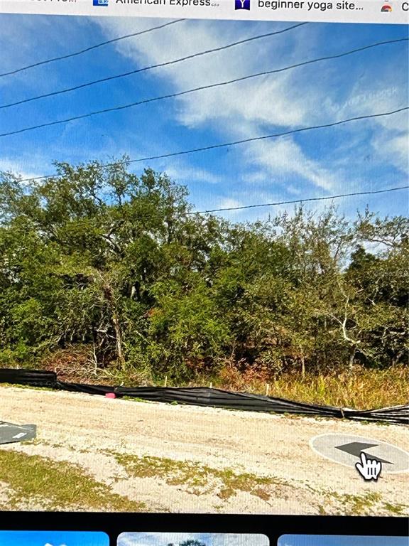 A vacant, wooded lot is bordered by a black silt fence along a gravel road — COUNTYLINE, SPRING HILL, FL