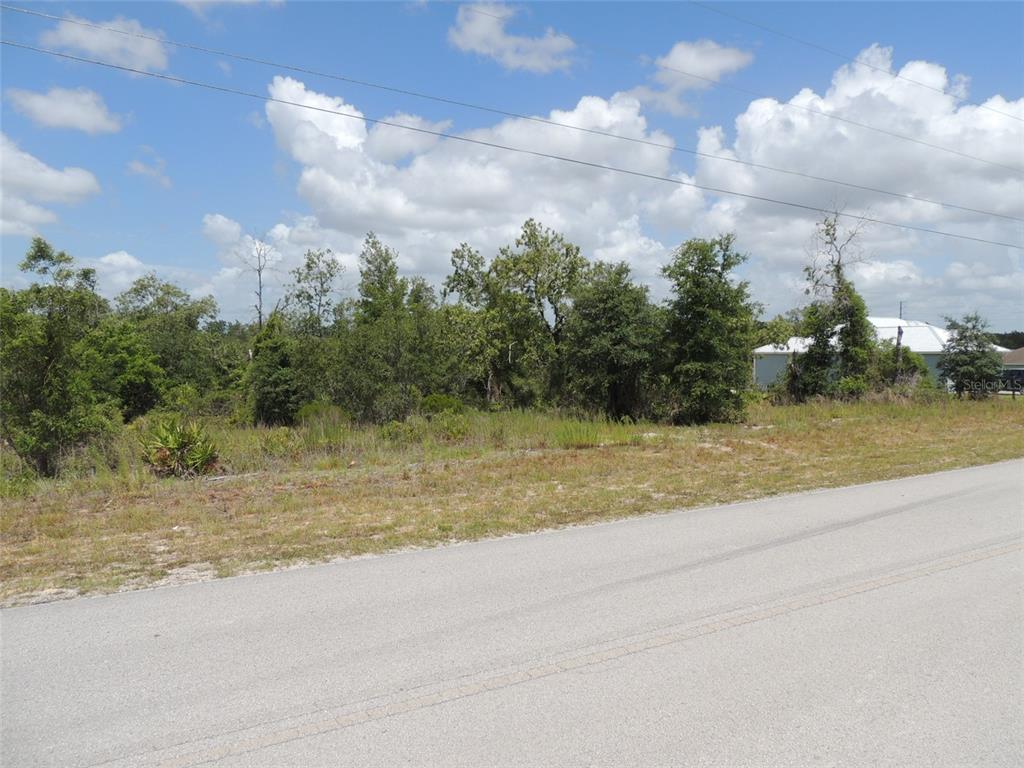 A vacant, wooded lot sits beside a paved road under a blue sky with clouds — 13591 NE 51ST LANE, WILLISTON, FL
