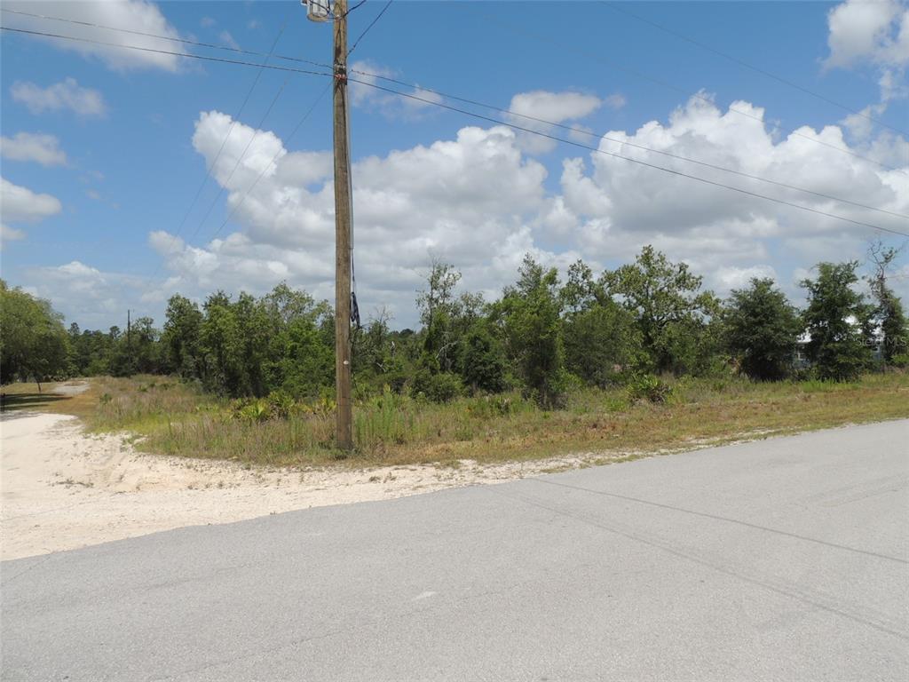 A view of a vacant, wooded lot situated at a corner of two paved roads — 13591 NE 51ST LANE, WILLISTON, FL