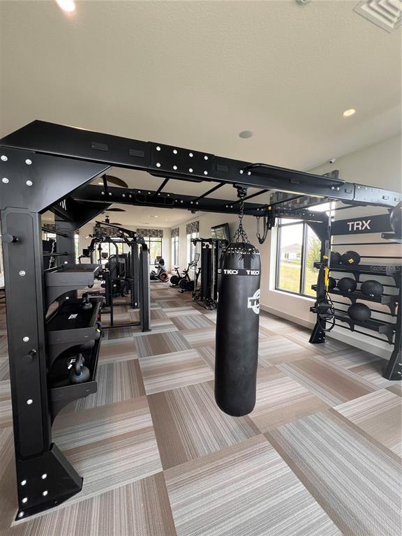 A gym room features a large black metal training rig, a punching bag, and medicine balls — 1406 DEEPWATER CIRCLE, EAGLE LAKE, FL