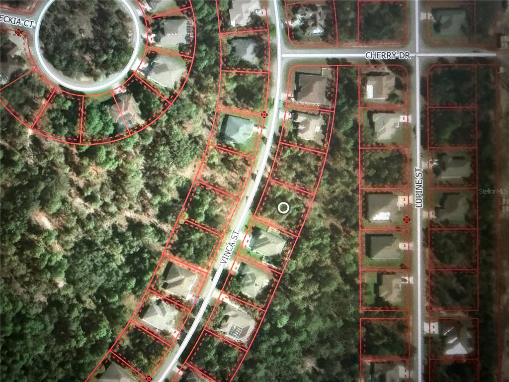 23 VINCA STREET, HOMOSASSA, FL — photo 3 of 20