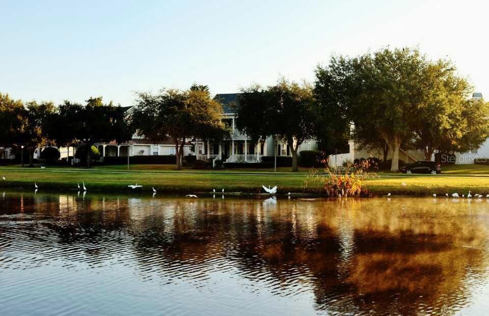 A large white house sits behind a pond with several white birds along the bank — 934 WESTPARK DRIVE, CELEBRATION, FL