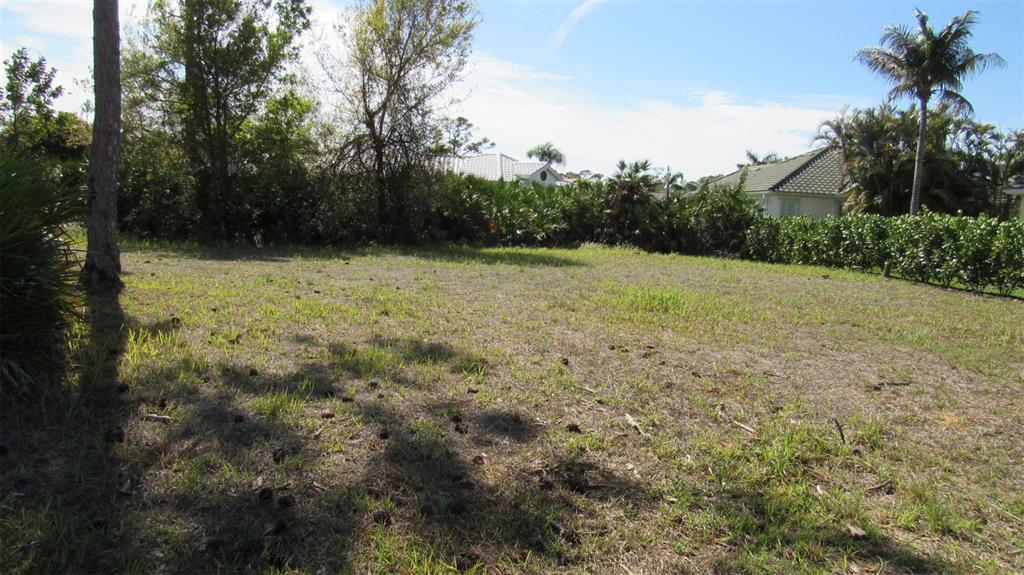 A grassy, undeveloped residential lot features scattered pine cones and surrounding trees and shrubs — 2064 LITTLE PINE CIRCLE, PUNTA GORDA, FL