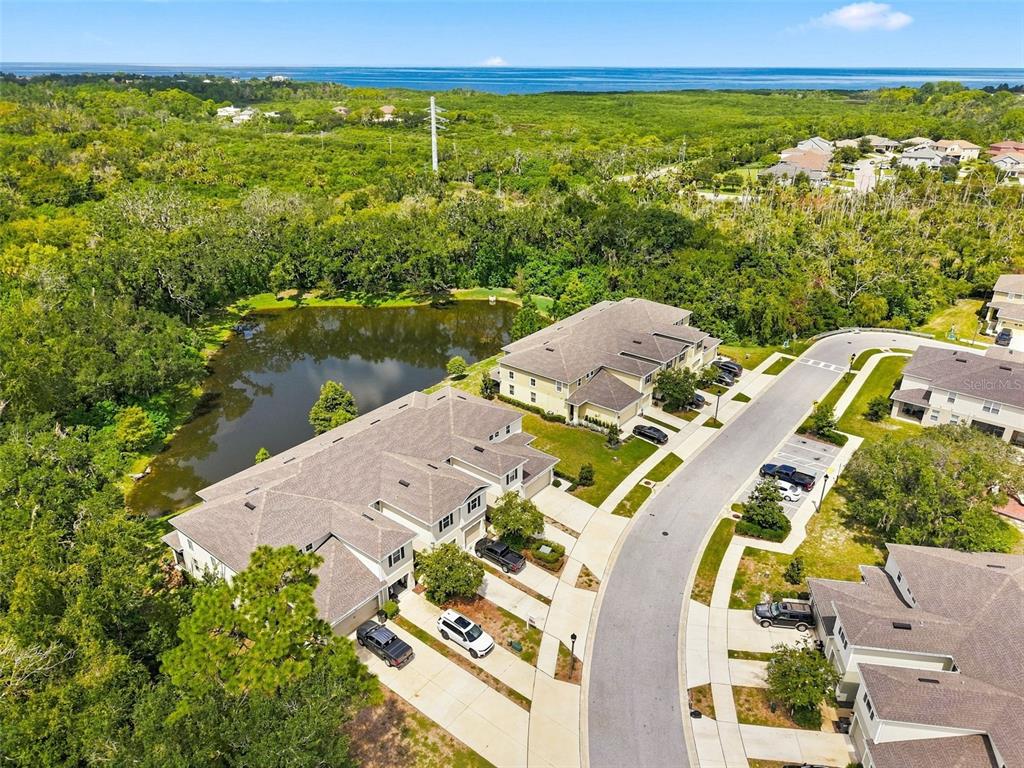 2919 JACOB CROSSING LANE, HOLIDAY, FL — photo 3 of 30