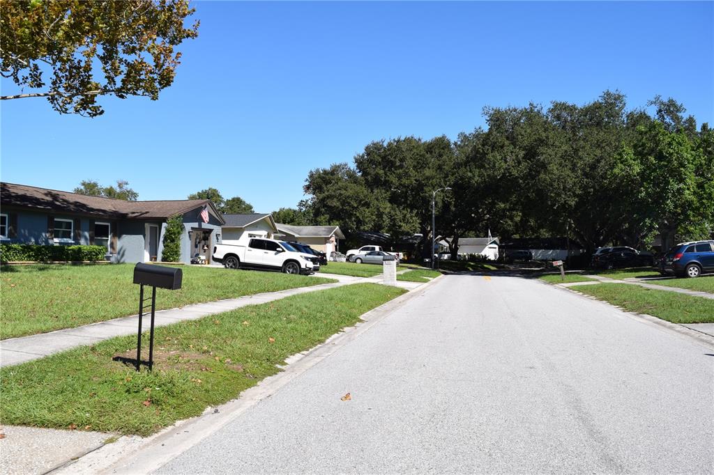 1610 AMBERLEA DRIVE N, DUNEDIN, FL — photo 3 of 17