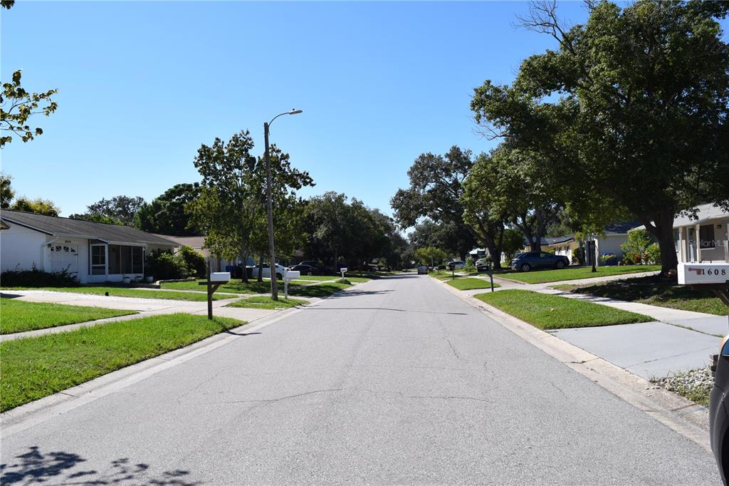 1610 AMBERLEA DRIVE N, DUNEDIN, FL — photo 4 of 17