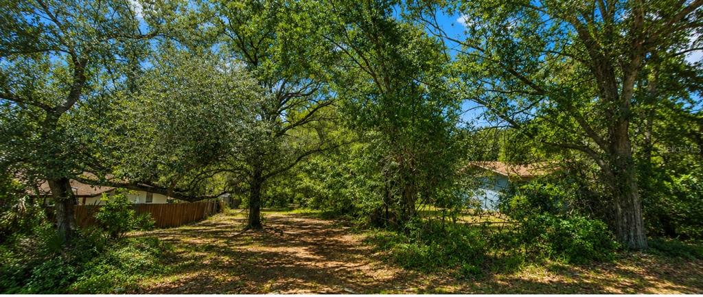 A wooded lot with mature trees sits between two residential houses with brown and blue siding — 00 COUNTRY ROAD, EUSTIS, FL
